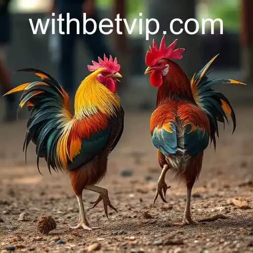 Sabong Games: Tradition Meets Technology with withbet